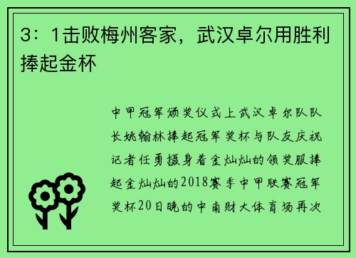 3：1击败梅州客家，武汉卓尔用胜利捧起金杯